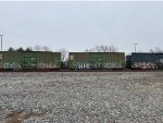 IBT 18447